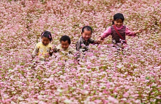 Những điểm du lịch Việt Nam hấp dẫn mùa cuối thu